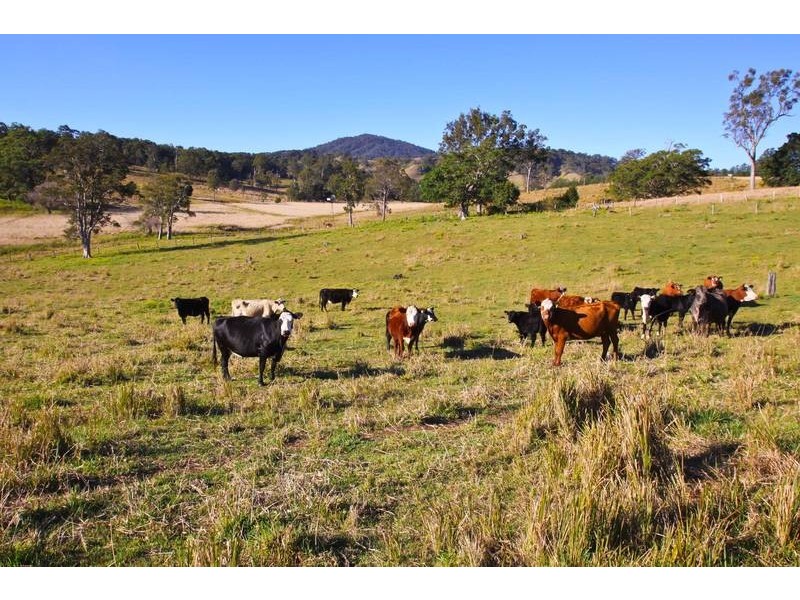 180 Runnymede Road, Kyogle NSW 2474