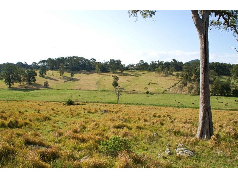 180 Runnymede Road, Kyogle NSW 2474