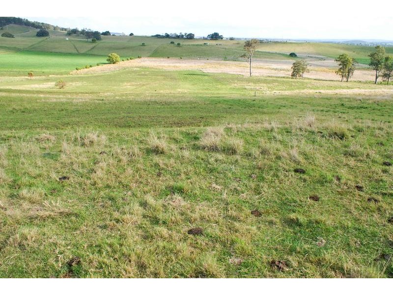 180 Runnymede Road, Kyogle NSW 2474