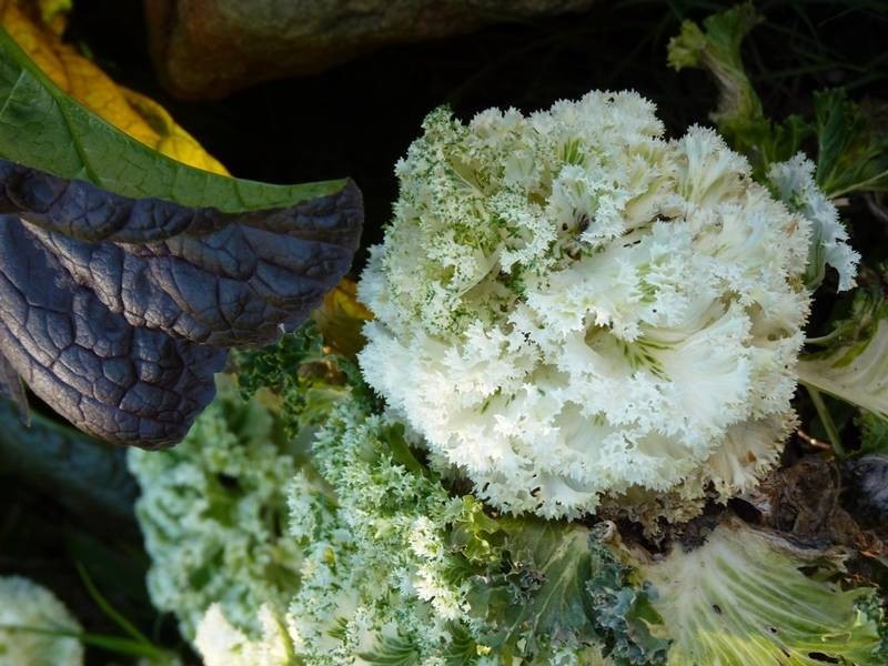 76 Conway Street, Lismore NSW 2480