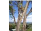 6 Windsor Court, Goonellabah NSW 2480