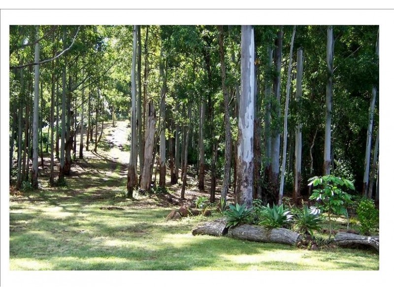 263 Davis Road, Jiggi NSW 2480