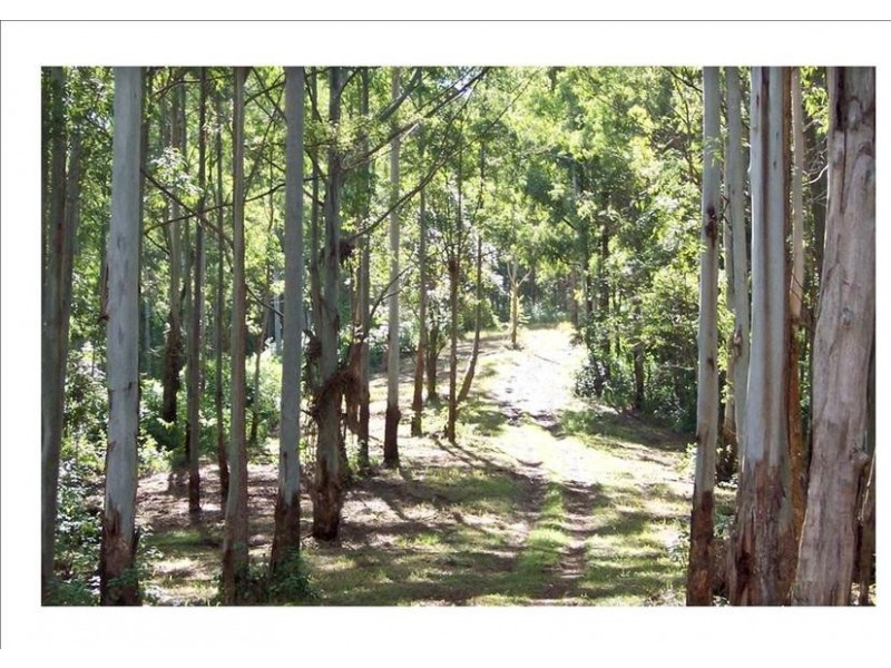 263 Davis Road, Jiggi NSW 2480