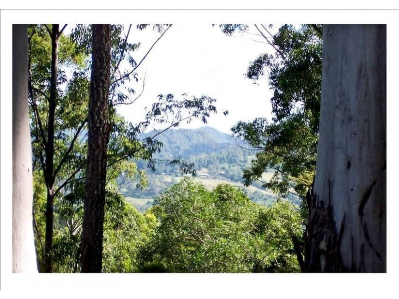 263 Davis Road, Jiggi NSW 2480