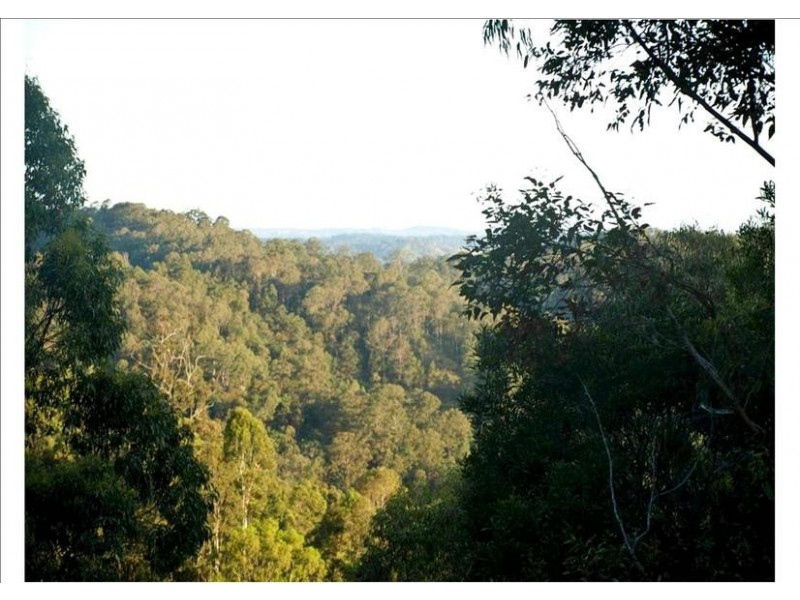 263 Davis Road, Jiggi NSW 2480