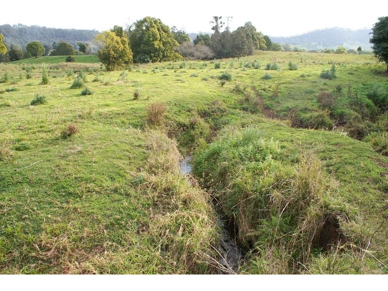 1469 Nimbin Road, Goolmangar NSW 2480