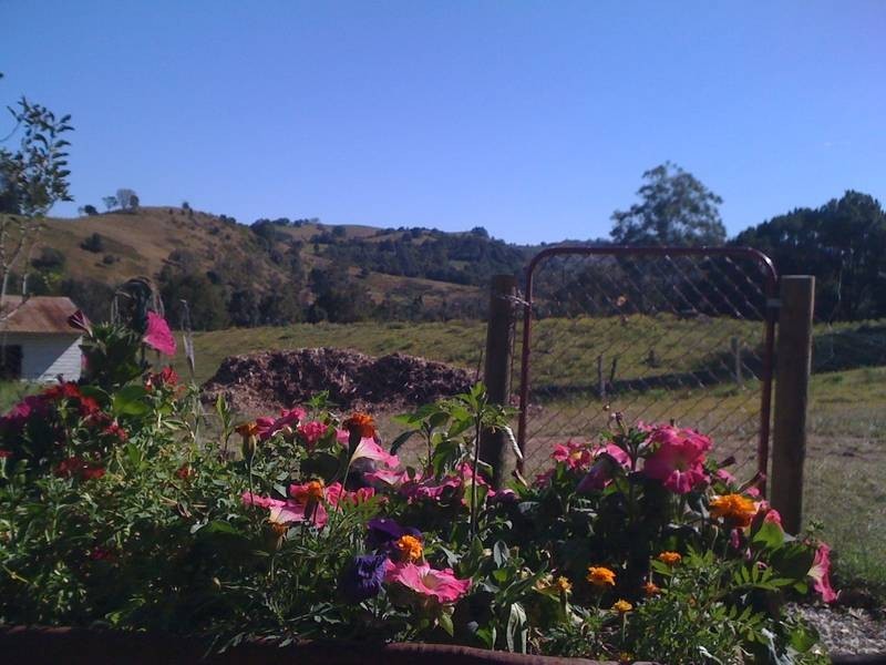 64 Terania Creek Road, The Channon NSW 2480