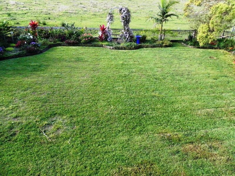 213 Casino Street, South Lismore NSW 2480