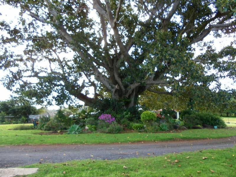 66 Chesworth Lane, Wollongbar NSW 2477