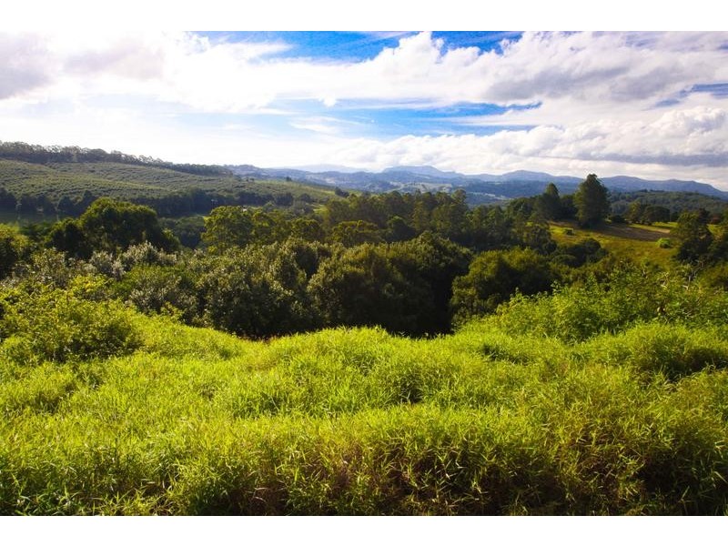 Lot 2, 109 The Channon Road, Dunoon NSW 2480