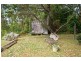 305 Rose Road, The Channon NSW 2480