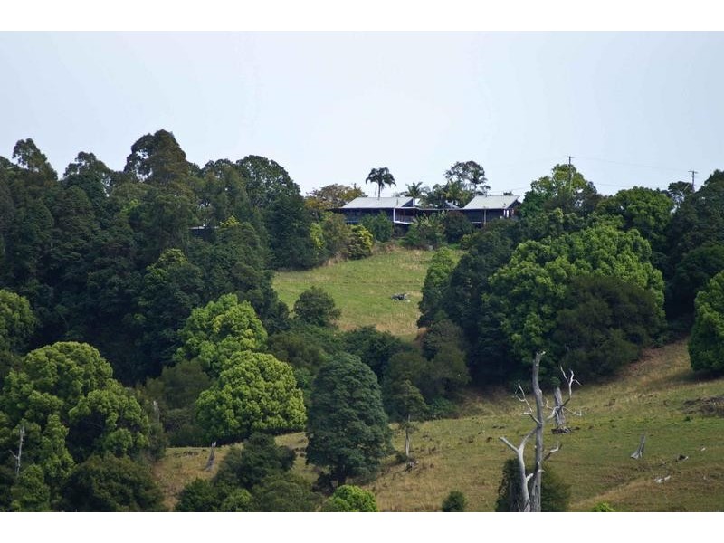 305 Rose Road, The Channon NSW 2480