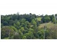 305 Rose Road, The Channon NSW 2480