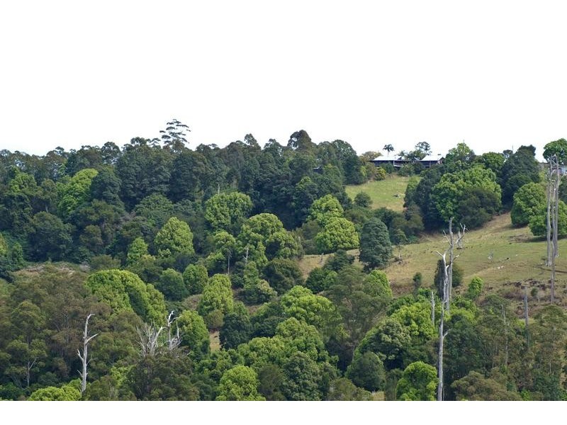 305 Rose Road, The Channon NSW 2480