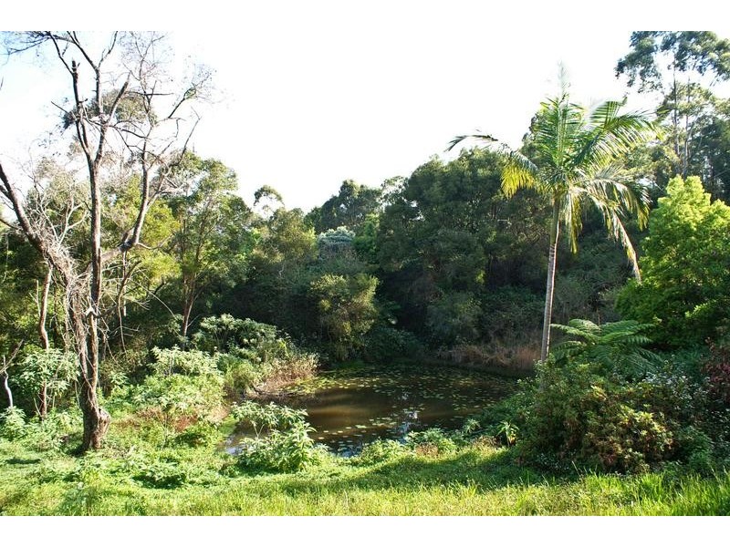 305 Rose Road, The Channon NSW 2480