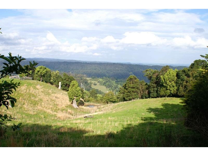 305 Rose Road, The Channon NSW 2480