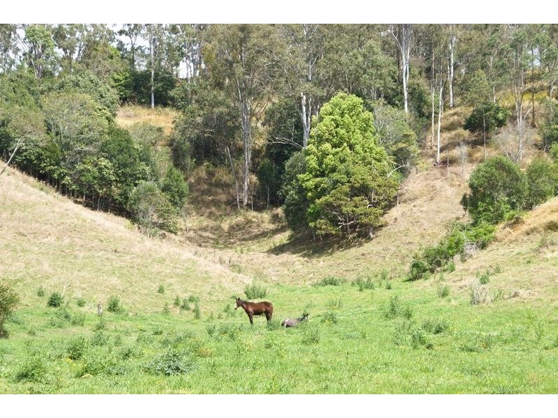 125 Wallworks, Bentley NSW 2480