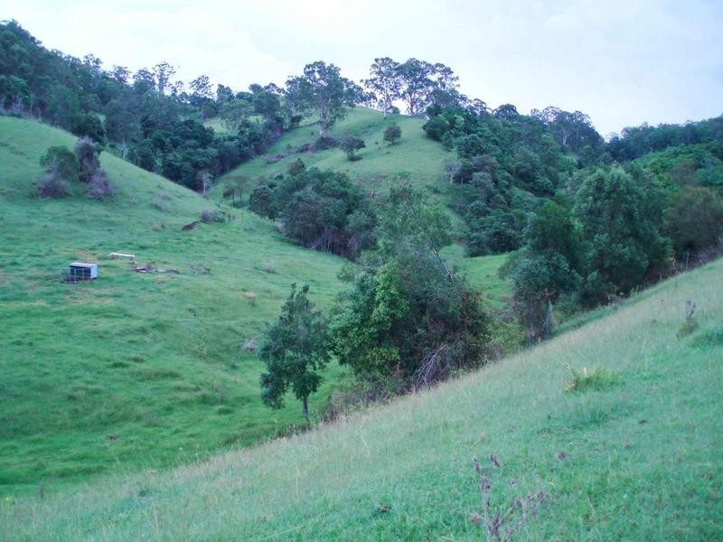 125 Wallworks, Bentley NSW 2480