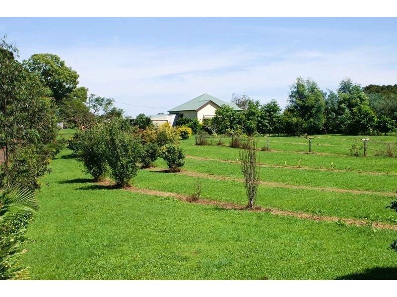 572 Tregeagle Road, Tregeagle NSW 2480
