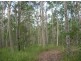 Lot 13 Myall Creek Road, Bora Ridge NSW 2471
