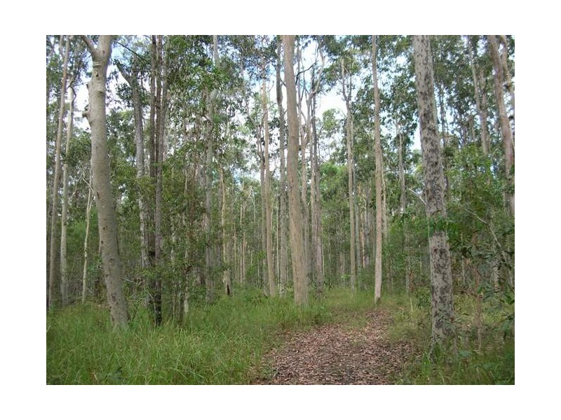 Lot 13 Myall Creek Road, Bora Ridge NSW 2471