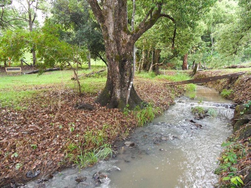 2 Basil Road, Nimbin NSW 2480