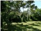 650 Caniaba Road, Caniaba NSW 2480