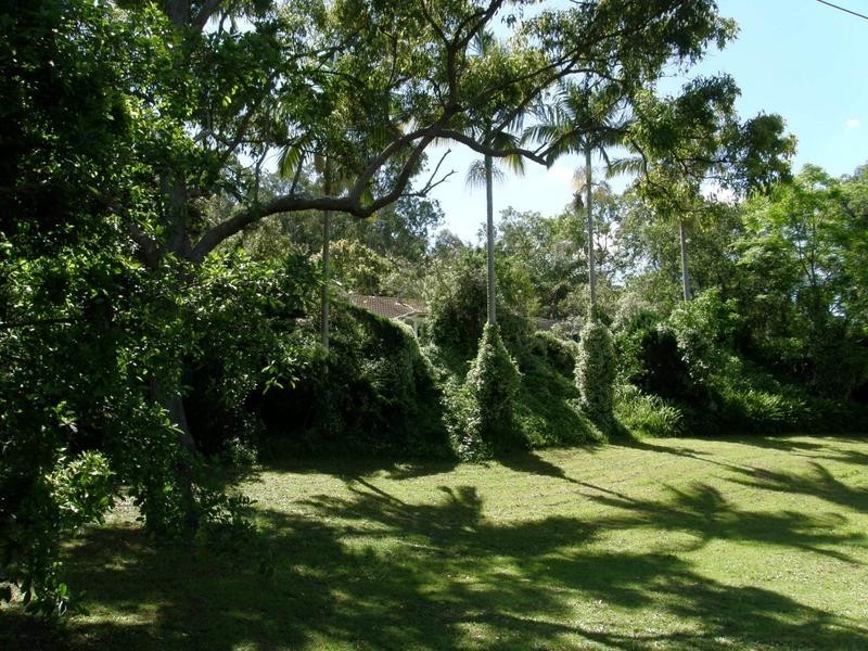 650 Caniaba Road, Caniaba NSW 2480