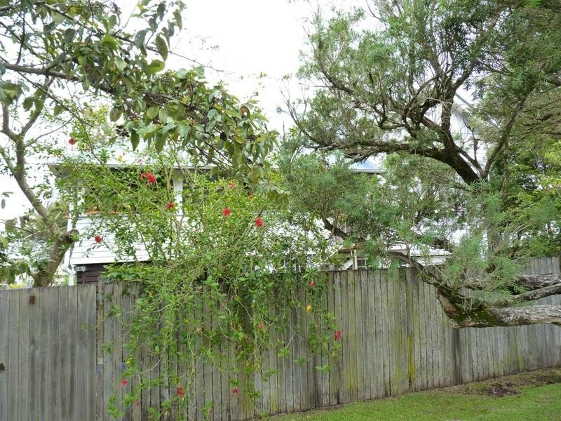 12 Webster Street, South Lismore NSW 2480