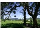 140 Crofton Road, Nimbin NSW 2480