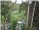 1374 Numinbah Road, Chillingham NSW 2484