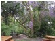 1374 Numinbah Road, Chillingham NSW 2484