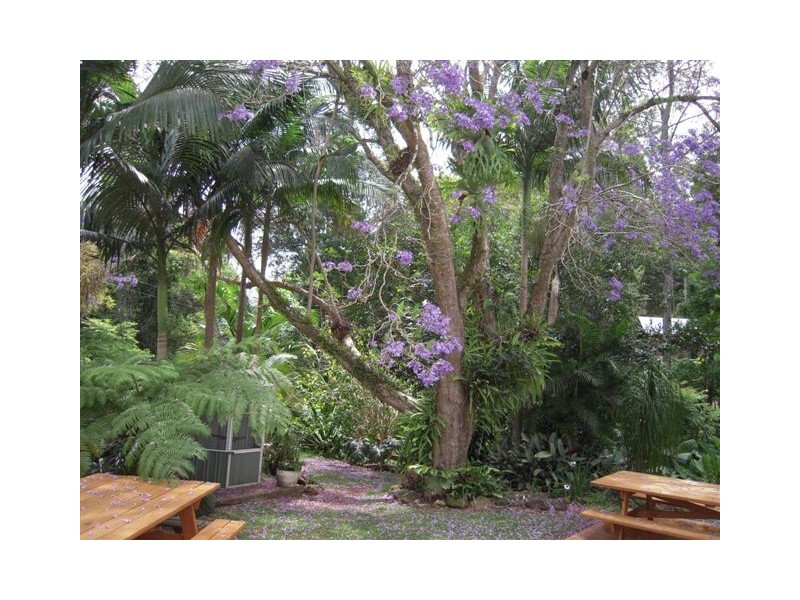 1374 Numinbah Road, Chillingham NSW 2484