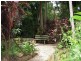 1374 Numinbah Road, Chillingham NSW 2484