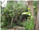 1374 Numinbah Road, Chillingham NSW 2484