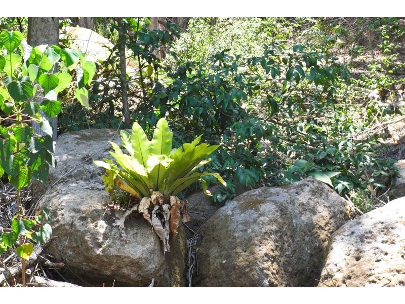 2205 Dunoon Road, Dorroughby NSW 2480