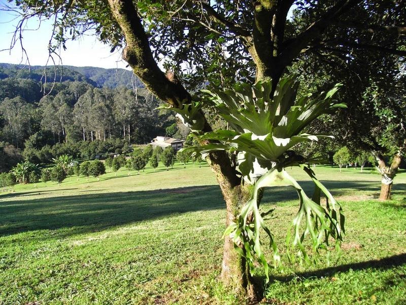 2205 Dunoon Road, Dorroughby NSW 2480