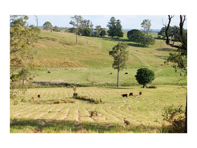 180 Runnymede Road, Kyogle NSW 2474