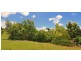 42 Dunromin Drive, Modanville NSW 2480