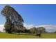 1 Runnymede Road, Kyogle NSW 2474