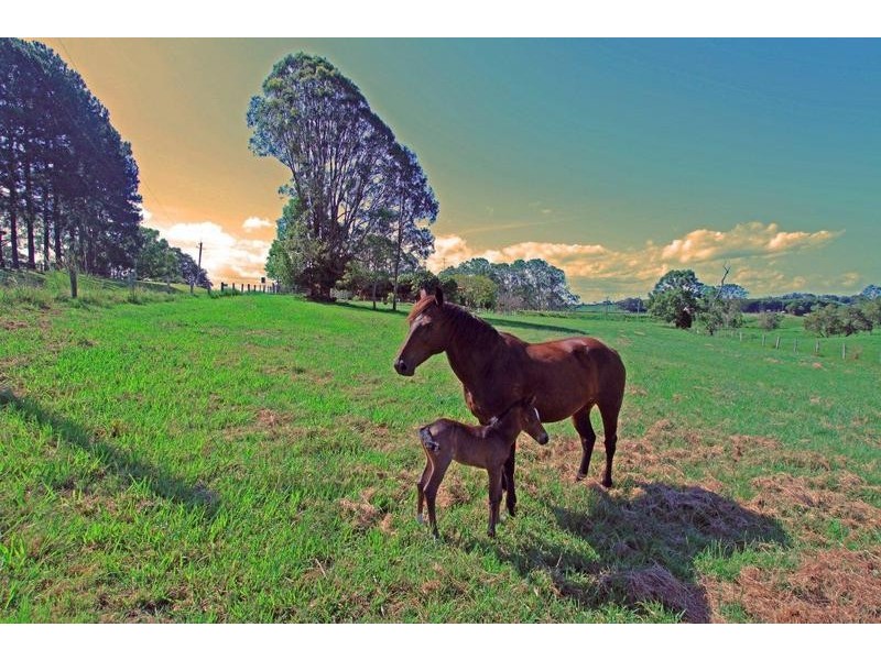 1 Runnymede Road, Kyogle NSW 2474