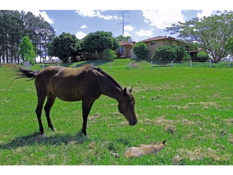 1 Runnymede Road, Kyogle NSW 2474