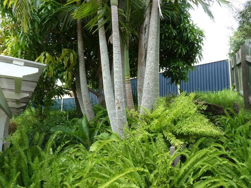 7 Abelia Close, Goonellabah NSW 2480