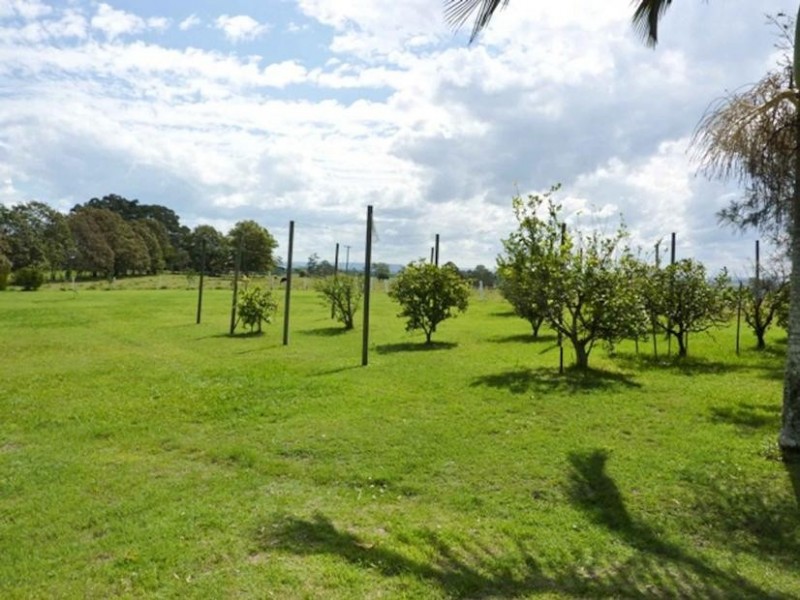 11665 Summerland Way, Fairy Hill NSW 2470