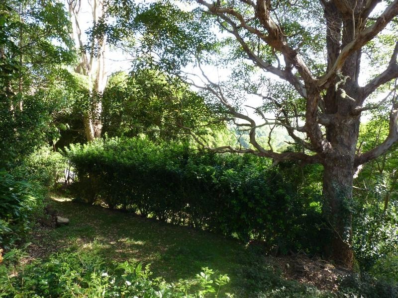 4 Sunnybank Avenue, Goonellabah NSW 2480