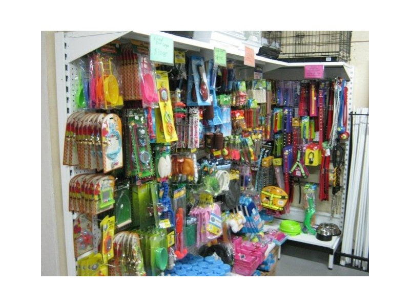 24 River Street, Maclean NSW 2463