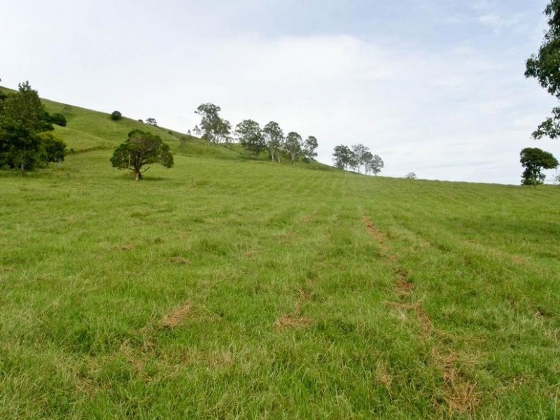 157 Leycester Road, Leycester NSW 2480