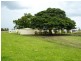 Codrington NSW 2471