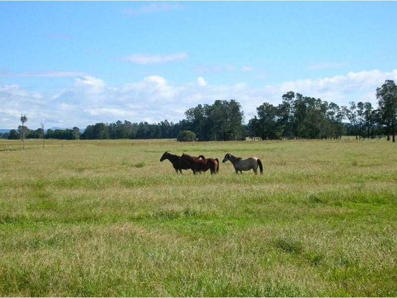 Codrington NSW 2471