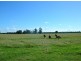 Codrington NSW 2471